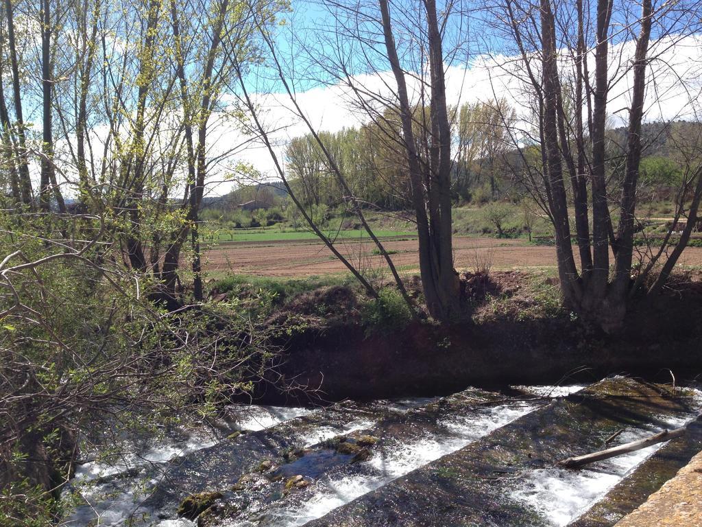 Encanto De Aragon